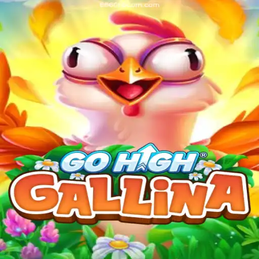 Exploring the Exciting World of GoHighGallina